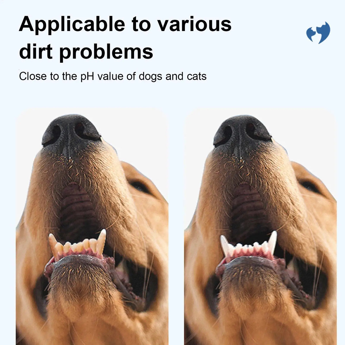Pet Ear Finger Wipes for Dogs Cats Teeth Cleaning Finger Wipes Dog Toothbrush Natural