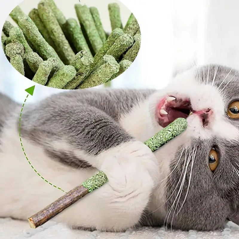 Cat Grass Sticks Indoor Cat Teething Grass Sticks Teething Stick Snacks For Cats Cat