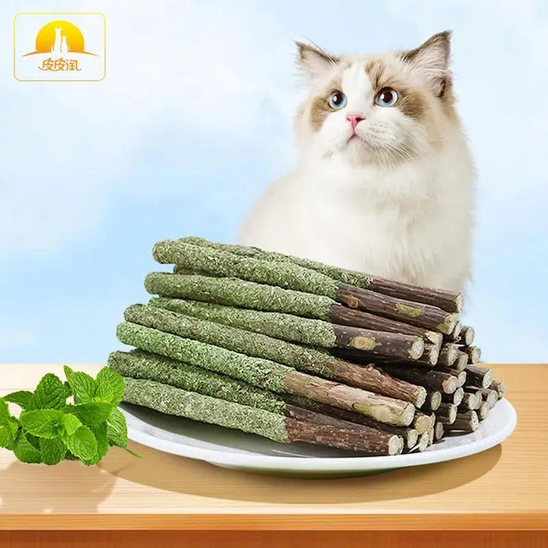 Cat Grass Sticks Indoor Cat Teething Grass Sticks Teething Stick Snacks For Cats Cat