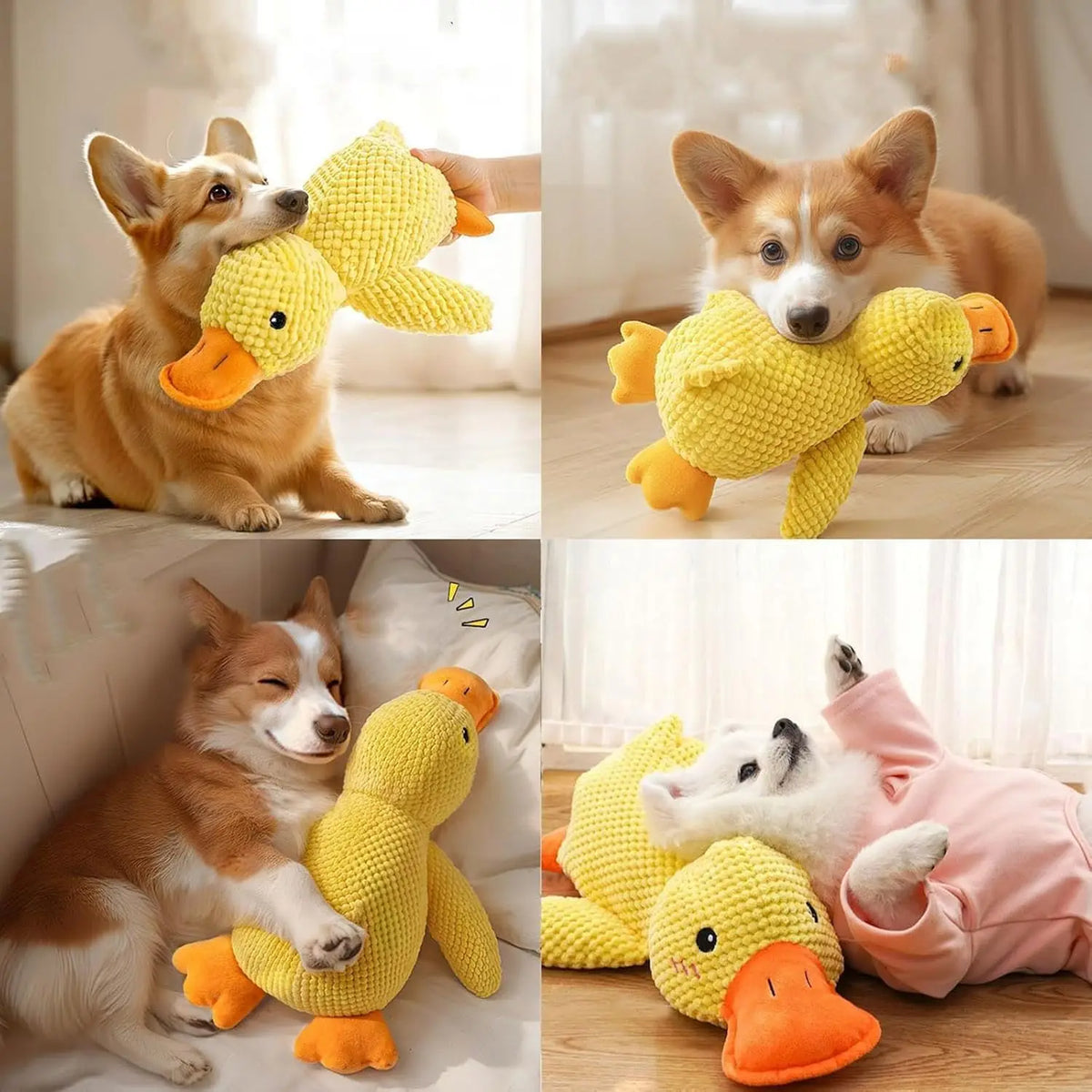 Duck dog toy plush chew resistant durable dog toy with quacking sound teeth grinding