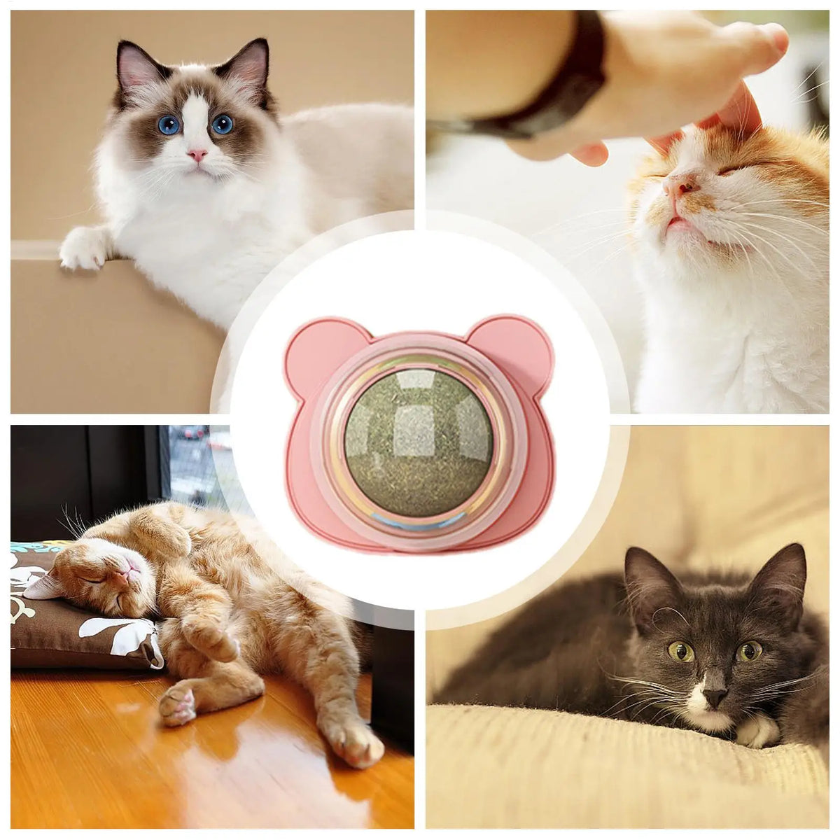 Interactive Cat Toy Catnip Lickable Rotatable Kitten Chew Toy Wall Catnip Cat Licking Toy
