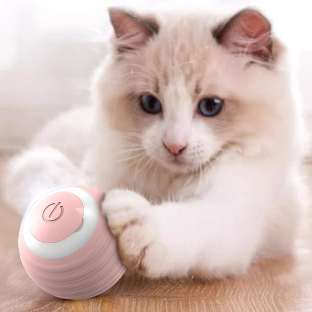 Interactive Cat Toy Ball 360° Automatic Rotating Rolling Ball Accessories for Cats Toys