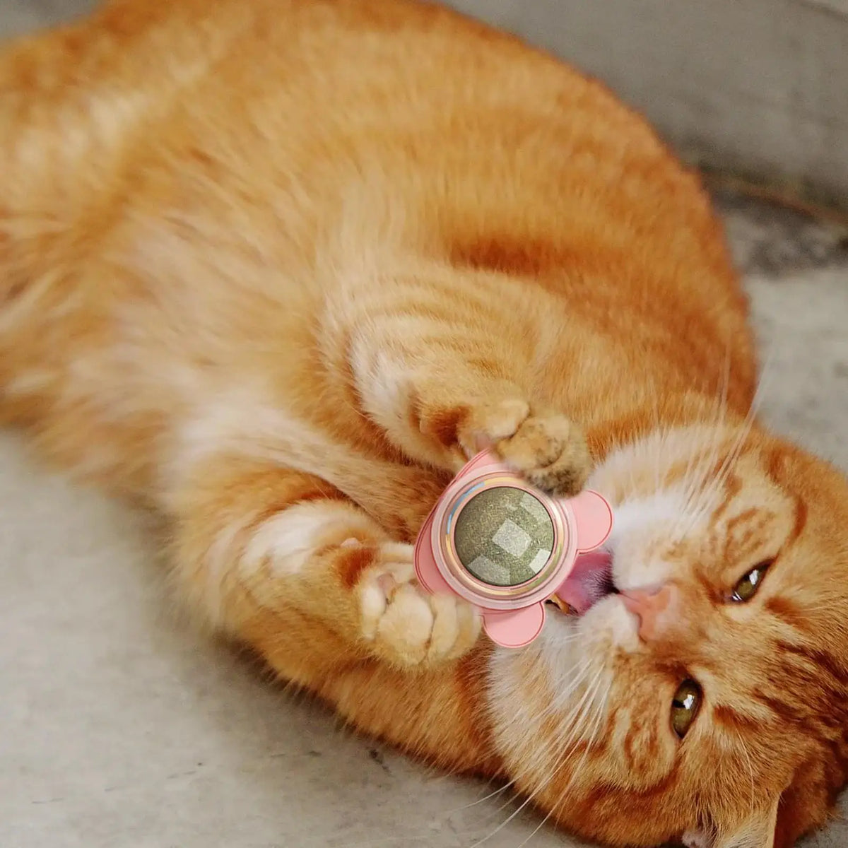 Interactive Cat Toy Catnip Lickable Rotatable Kitten Chew Toy Wall Catnip Cat Licking Toy