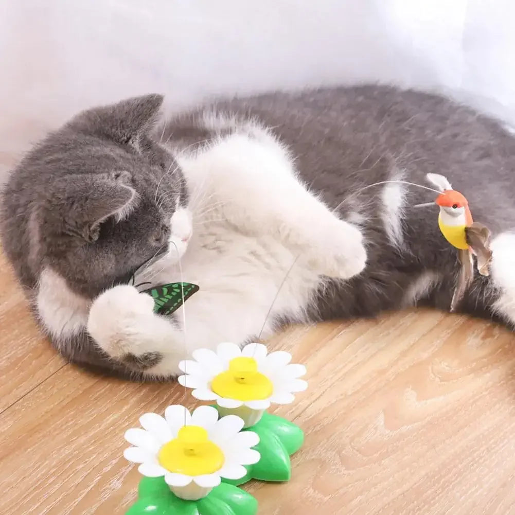 Electric Butterfly Cat Toy Shake Rotating Flying Automatic Humming Bird Intelligence