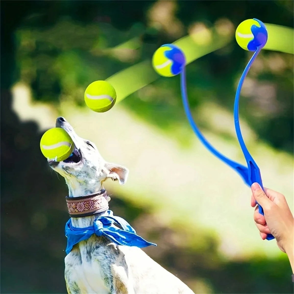 Pet Tennis Ball Launcher Set Outdoor Dog Interactive Training Toy Fetch Play Durable