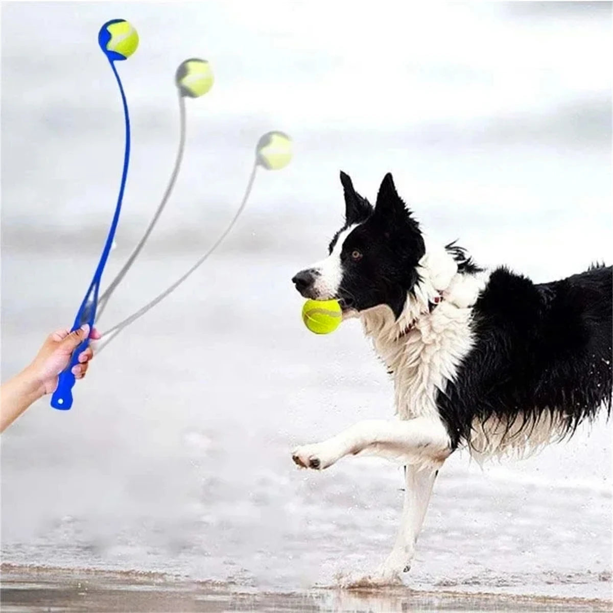 Pet Tennis Ball Launcher Set Outdoor Dog Interactive Training Toy Fetch Play Durable
